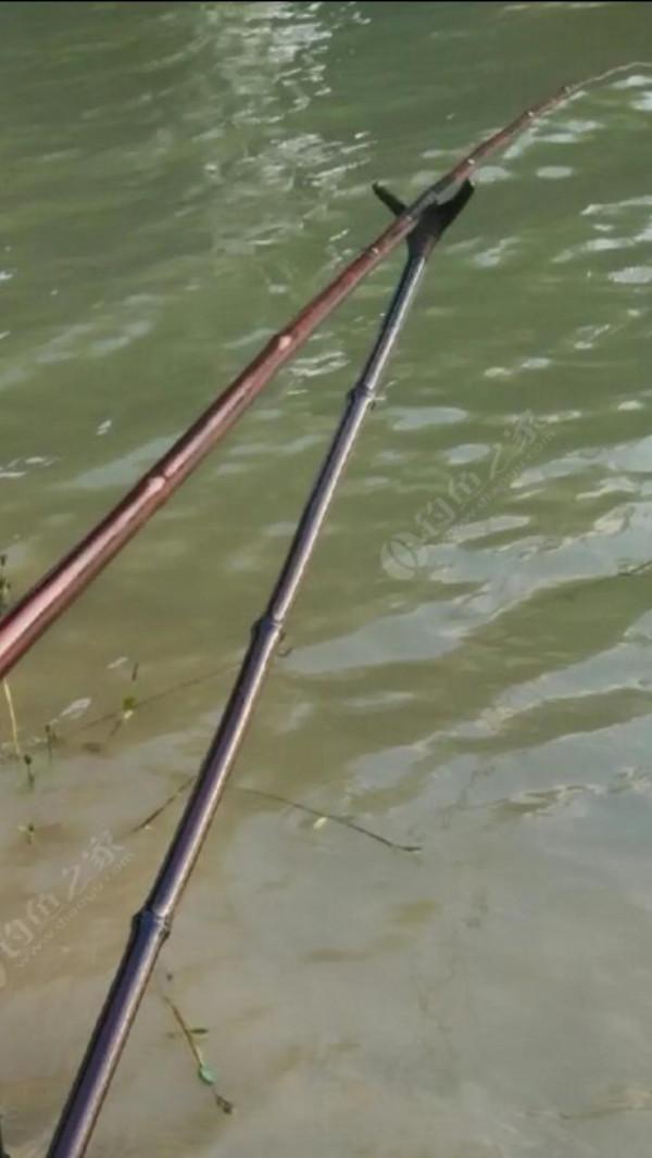 九十年代自制魚竿和線組