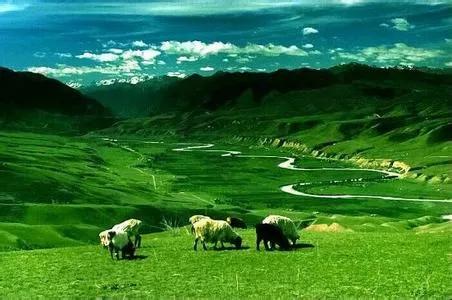 美麗的草原，我來了