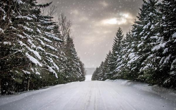 12星座致富能力比拼，致富不容易，除了努力工作，還需要運氣好