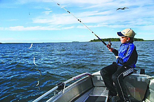 芬蘭人釣鯡魚,“願者上鉤” 芬蘭人釣鯡魚,“願者上鉤”