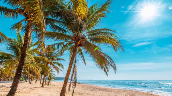 2021海南酷狗國潮音樂節時間地點、嘉賓陣容、門票購票