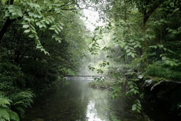你以為是西湖,並不是真正的西湖 你以為是西湖,並不是真正的西湖