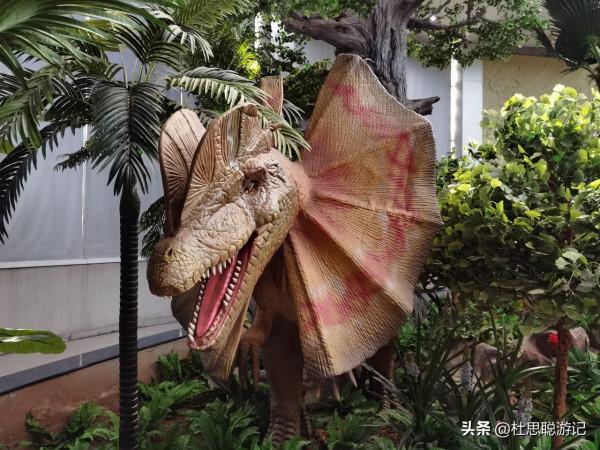 漢EV自駕河南，帶著孩子逛親子景區5A恐龍遺蹟園