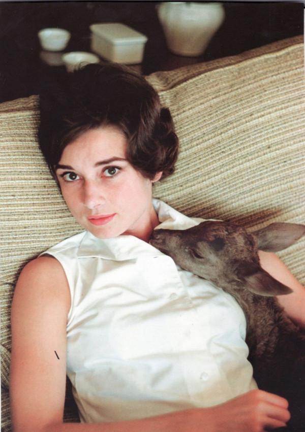 關於赫本的19個有趣事實：42碼大腳、討厭手錶、用針分開睫毛