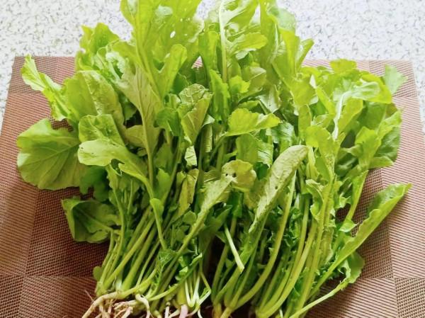 入冬後記得給孩子吃“天然鈣片”,2塊錢1斤,搭配五花肉,真香啊 入冬後記得給孩子吃“天然鈣片”,2塊錢1斤,搭配五花肉,真香啊