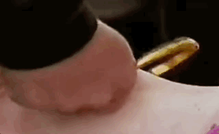 見過潮汕賽大豬，就明白了美學的奧秘