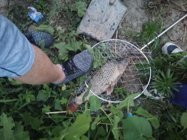 釣技的交流 釣技的交流