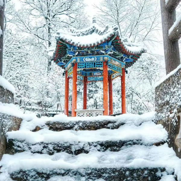 留壩：雪花紛飛迎新春 銀裝素裹靚山城