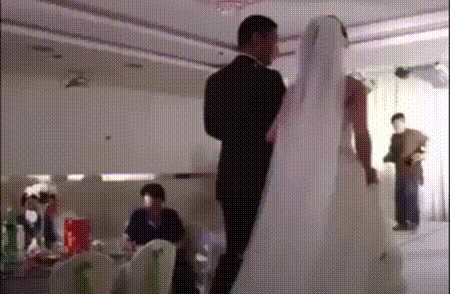 88個難得一見的照片，大象岩石，被章魚攻擊的海豚，飛行員眼鏡