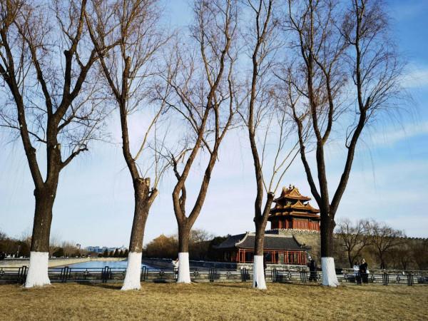 打卡故宮角樓&OpenCurlyDoubleQuote;千里江山圖&rdquo;