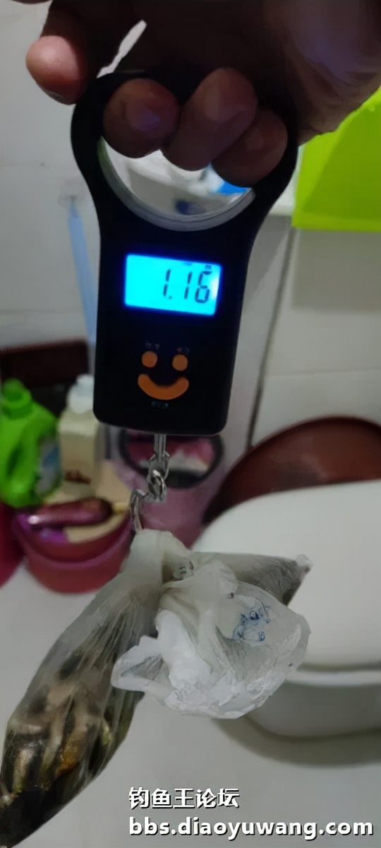 迴歸河山，收穫翻番