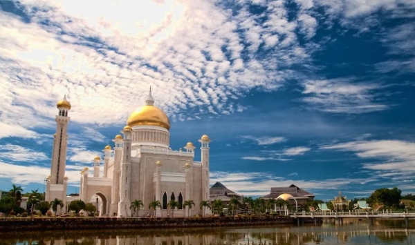 95歲英女王開路虎，卻沒有駕照，汶萊國王身家700億有7000輛豪車