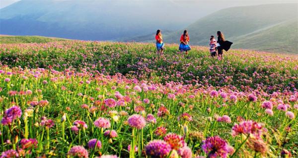 貴州人口第一大市,常住人口約690萬,氣候好風景美可養老 貴州人口第一大市,常住人口約690萬,氣候好風景美可養老