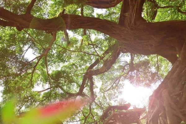 冬至了,在遠方的你有沒有回家呢?故鄉有小橋流水,有媽媽做的飯 冬至了,在遠方的你有沒有回家呢?故鄉有小橋流水,有媽媽做的飯