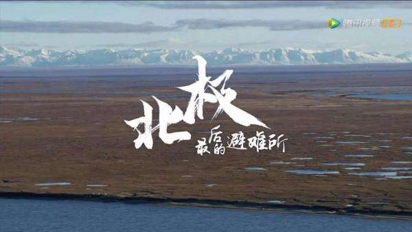 當開發的觸角逼近北極最後的避難所,人類的未來又將何去何從? 當開發的觸角逼近北極最後的避難所,人類的未來又將何去何從?
