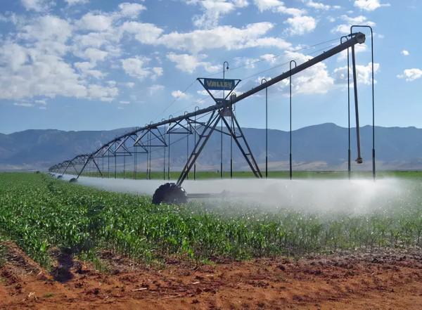 中國為何要搞智慧農業：不僅解決糧食問題，更是解決競爭力問題