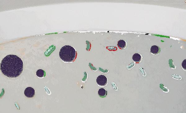 馬桶上別掛毛巾架了！看看年輕人的做法，精緻又實用