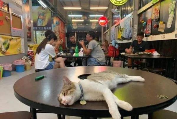 剛剛，我把月入2萬元的燒烤店關掉了：表面風光，辛酸自己知道