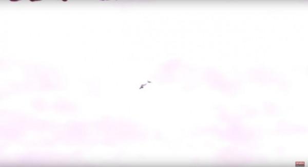 進口裝備志以色列篇——哈比無人機