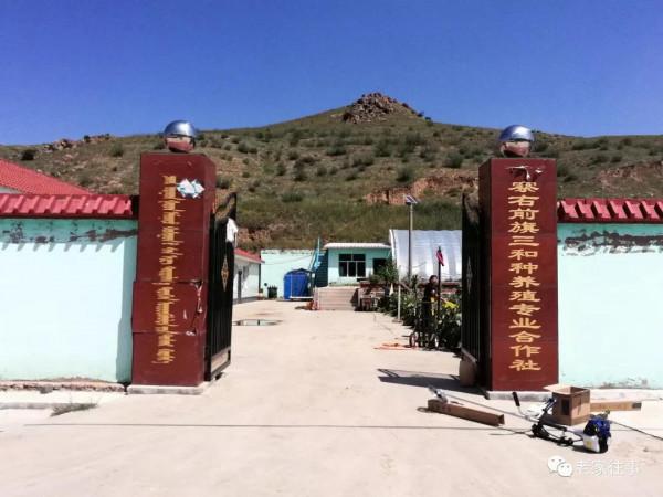 永不消失的大坡 永不消失的大坡