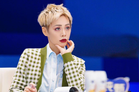 趙文卓繡花、劉濤賽車、苗圃開飛機,這些明星竟是隱藏技能高手? 趙文卓繡花、劉濤賽車、苗圃開飛機,這些明星竟是隱藏技能高手?