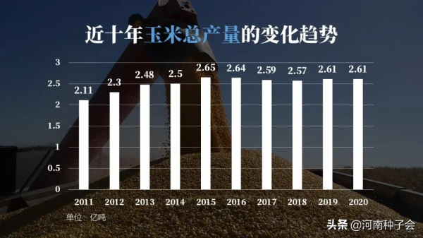 2021年玉米制種情況及2022玉米行業預測