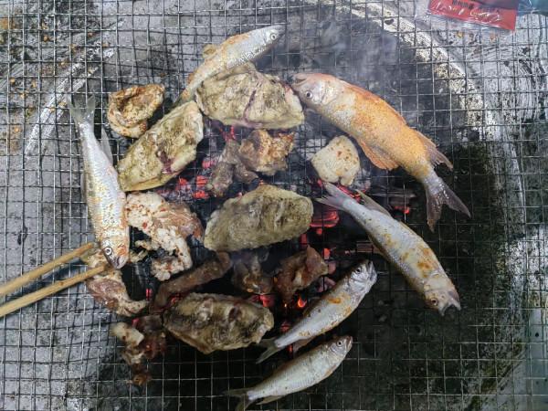 準備倉促確有意外驚喜，探釣之行忠愛橋