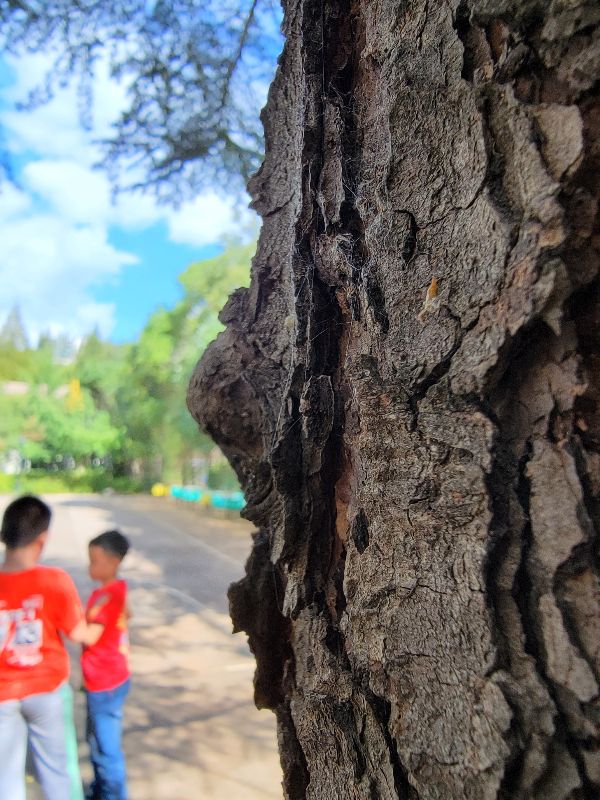 終結三星s21u和note20u選擇困難症