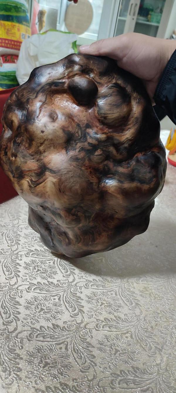 雷擊木樹瘤,請廣大網友給取個名字 雷擊木樹瘤,請廣大網友給取個名字