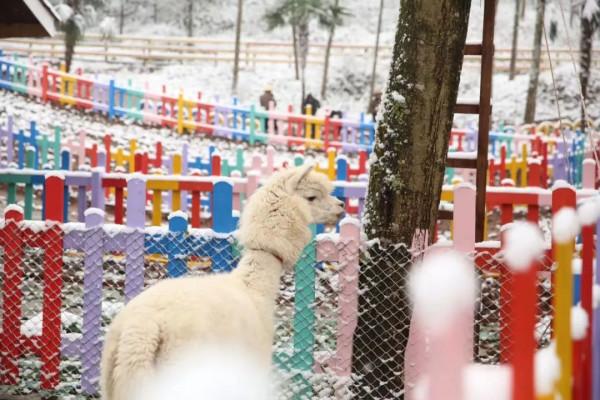天府旅遊名縣 | 天府花溪谷：一大波福利即將來襲！超讚不限量特惠，你準備好了嗎！
