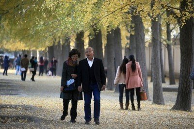 北京金秋一個火熱地標，堪稱京城最美銀杏大道，門票免費十月最佳