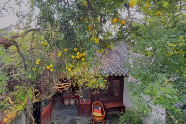 走過練塘古鎮這幾座古橋,彷彿穿越過了元明清 走過練塘古鎮這幾座古橋,彷彿穿越過了元明清