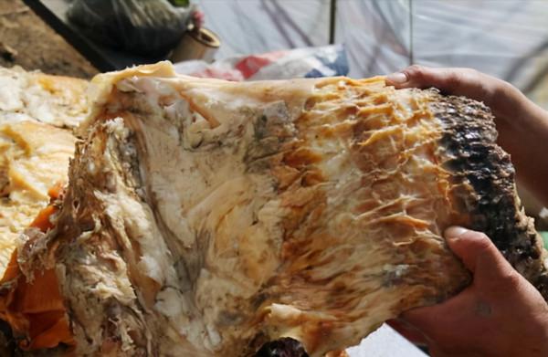 6年前,那個撿到太歲一夜暴富的遼寧農民王承德,後來創業去了 6年前,那個撿到太歲一夜暴富的遼寧農民王承德,後來創業去了