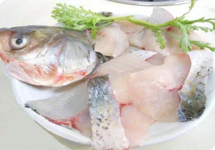 釣魚是為吃魚?針對8種魚,看看釣魚人的想法就知道了 釣魚是為吃魚?針對8種魚,看看釣魚人的想法就知道了