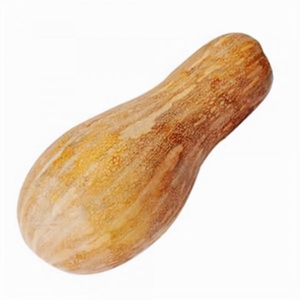 大冬大似年，古鎮沙溝有“大冬吃紅茄瓜”習俗，既帶百病又走紅運