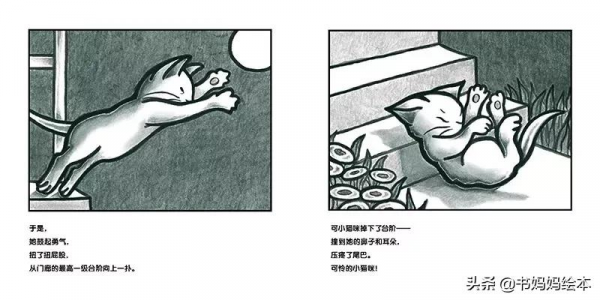 貓咪主題繪本推薦｜和孩子一同開啟喵星人的世界