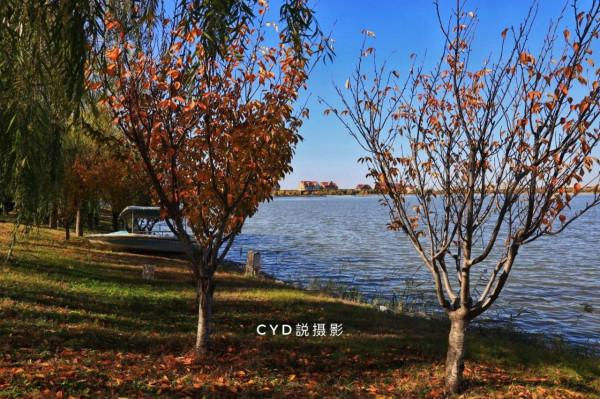 記錄南湖晚秋的色彩 記錄南湖晚秋的色彩