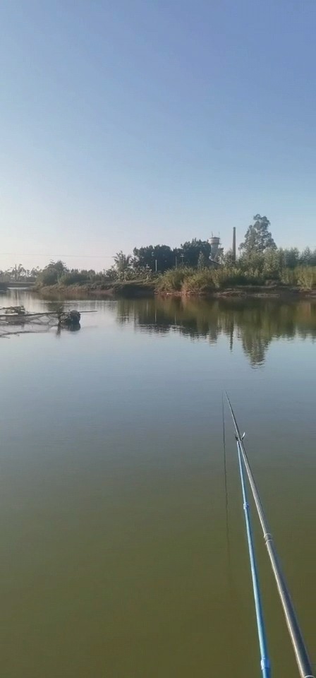 中魚切線始終是一種遺憾但也是釣魚的魅力所在，最終擒獲巨型羅非
