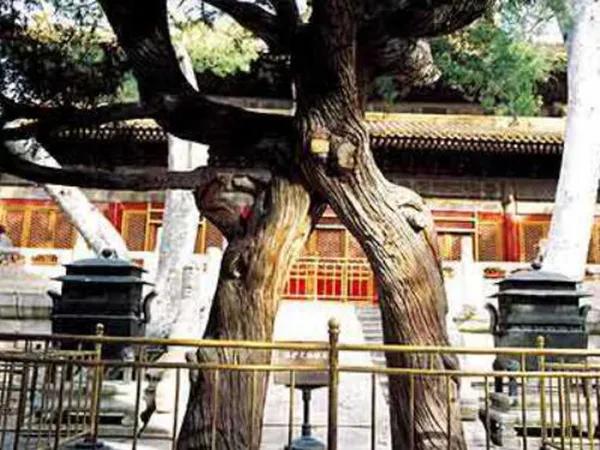 故宮三處不宜拍照 第一狹隘難耐第三陰森恐怖