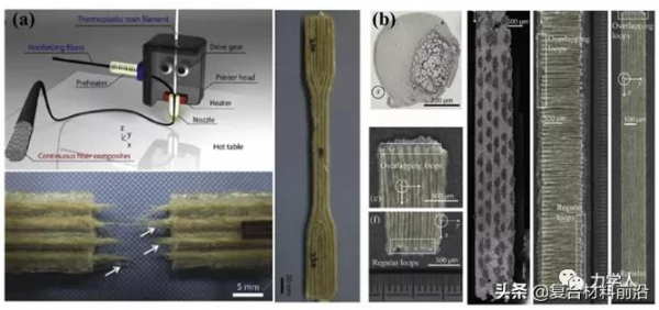 同濟大學李巖教授團隊：多層級植物纖維增強複合材料高效能化