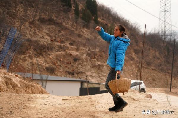 農民大姐把山雞養成怪雞,言說下蛋是彩蛋,供不應求 農民大姐把山雞養成怪雞,言說下蛋是彩蛋,供不應求