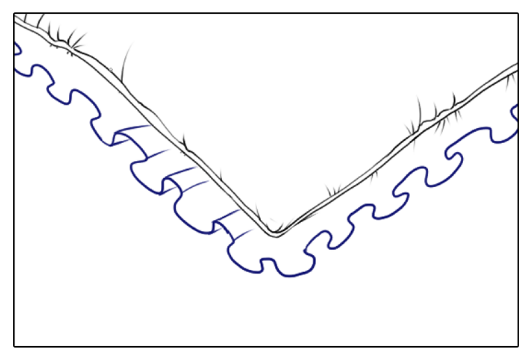 動漫枕頭怎麼畫？教你枕頭靠枕線稿的畫法教程