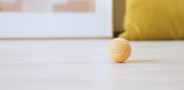 一球一棒，讓貓咪重新動起來