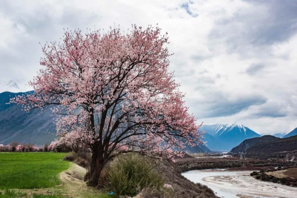 西藏，雪域高原