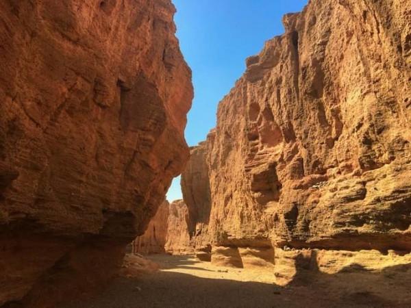 你想要來的新疆2022年是這樣的