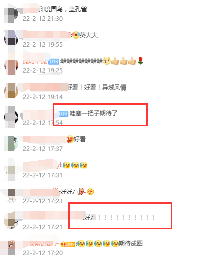 哈利波特手遊設計大獎賽火熱進行中，銀髮黑皮呼聲最高！玩家：衝