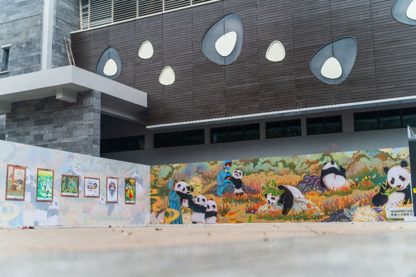 國際熊貓日,華為平板攜手成都熊貓基地創作熊貓圖鑑 國際熊貓日,華為平板攜手成都熊貓基地創作熊貓圖鑑