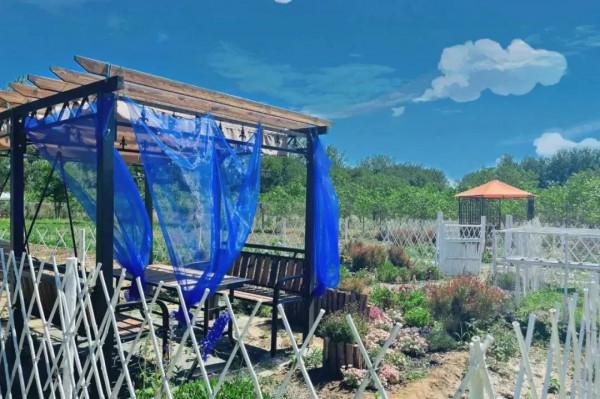 秋高氣爽,天氣正好,戶外農場趕緊安排上 秋高氣爽,天氣正好,戶外農場趕緊安排上