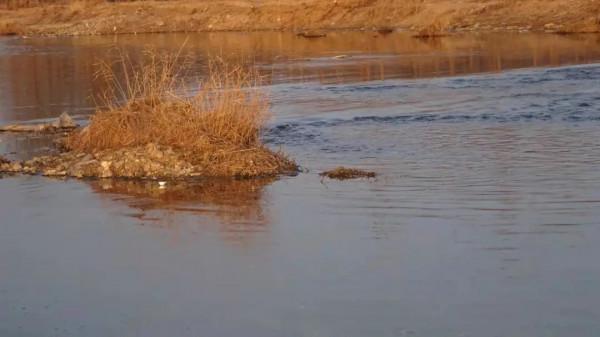 野釣想要連桿,就必須弄明白因地、因時、因魚這三個重要因素 野釣想要連桿,就必須弄明白因地、因時、因魚這三個重要因素