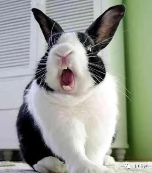 資訊長觀察：用系統思維做規劃，用簡單思維做轉型